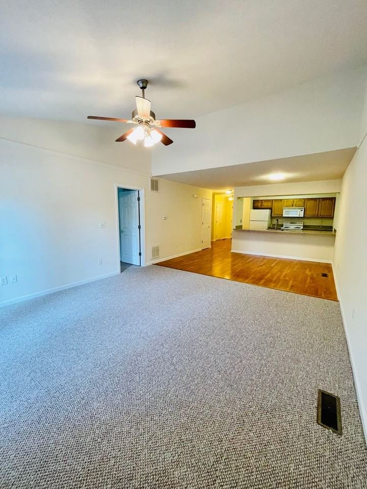 4020 Dalt Dr - Photo 4 of 15