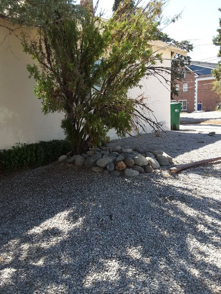 154 W 10th St - Photo 2 of 12