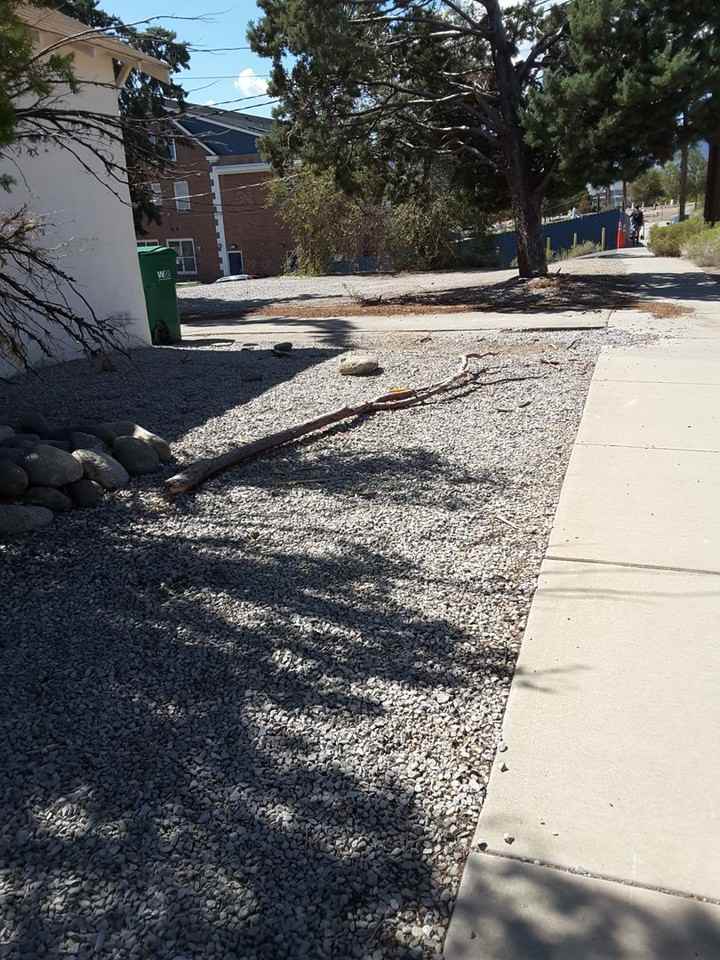 154 W 10th St - Photo 3 of 12