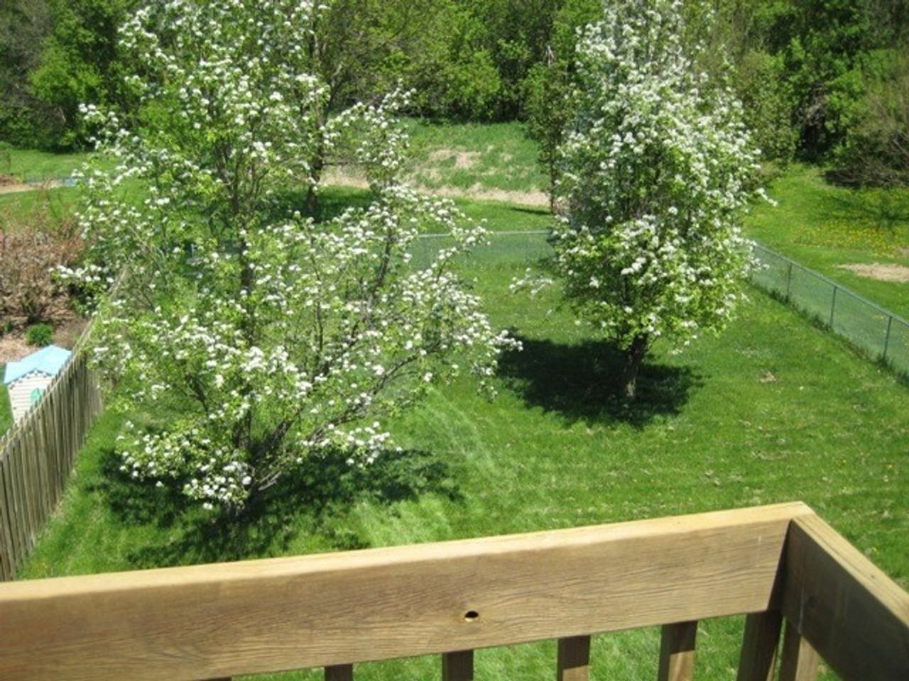 2132 Plaen View Dr - Photo 6 of 6