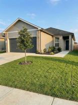 11627 Black Rose - Photo 1 of 1