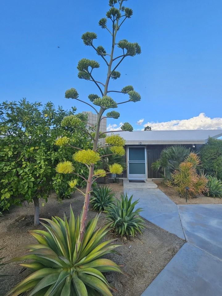 37800 Da Vall Dr Apt 12 #12 - Photo 2 of 42