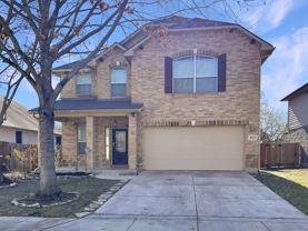 3024 Muntjac - Photo 1 of 1