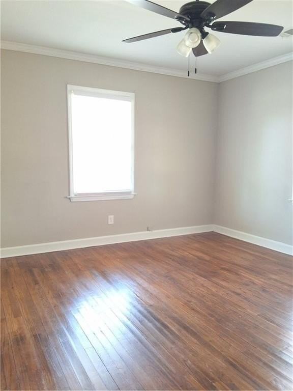 217 Bellview St - Photo 7 of 10