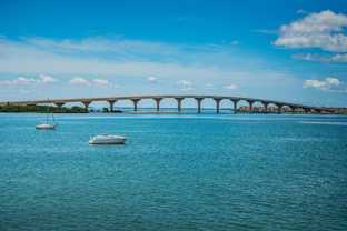 6291 Bahia Del Mar Cir #207 - Photo 1 of 1