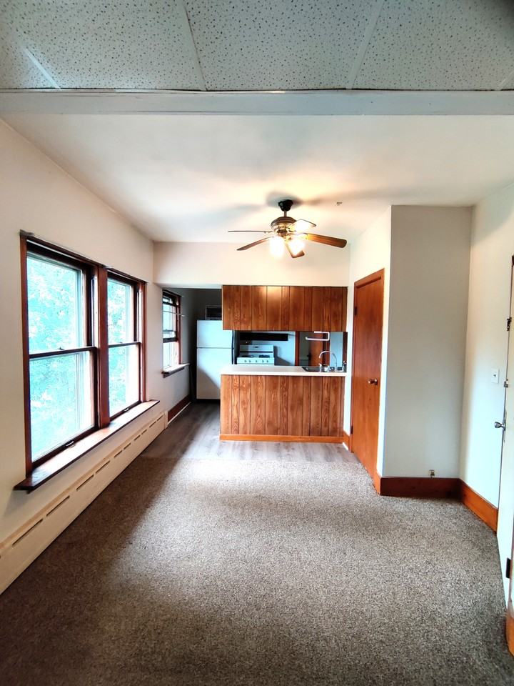 975 / 310 N. Elm St. Waterman - Photo 4 of 10