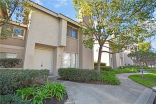 11 Dragonfly - Photo 1 of 1