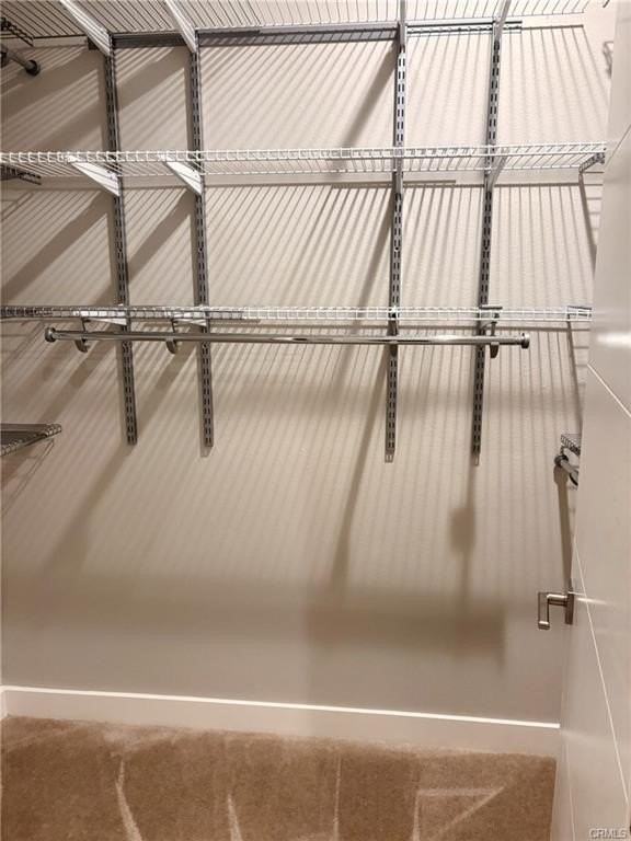 2829 Lily Ln - Photo 6 of 11