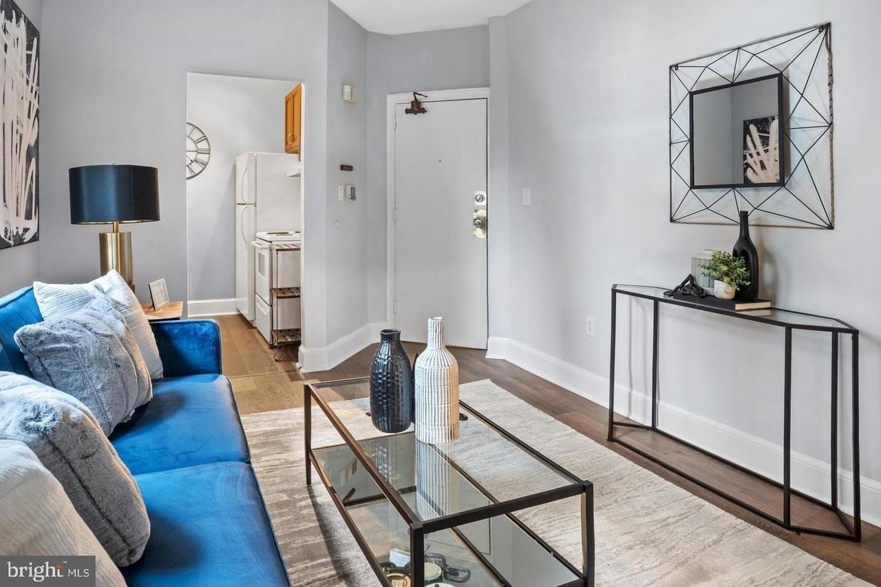 1125 Maryland Ave Ne Apt 6 - Photo 3 of 15