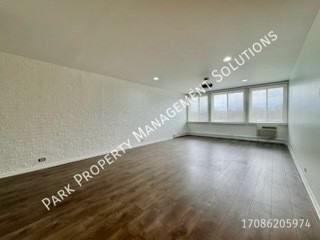 1117 Leavitt Ave #314 - Photo 5 of 11