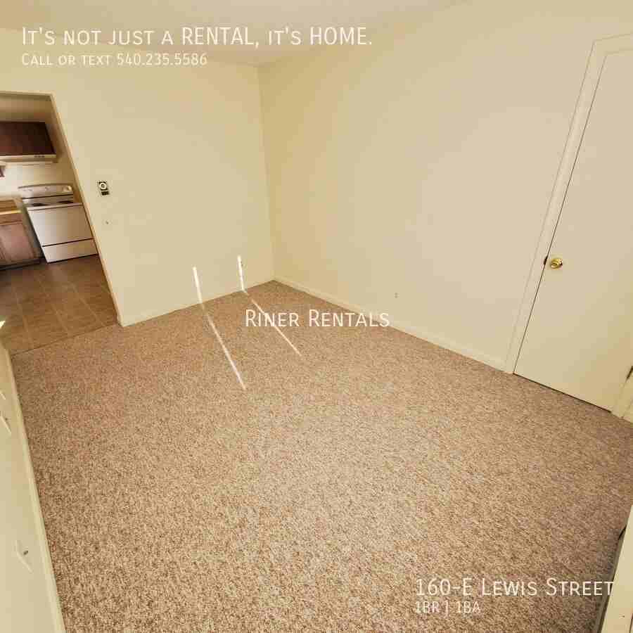 160 Lewis St Apt E - Photo 4 of 6