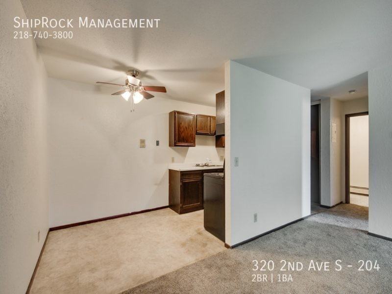 320 2nd Ave S #204 - Photo 4 of 13