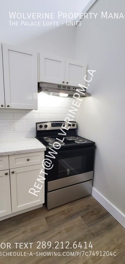 41 The Palace Lofts #1 - Photo 4 of 24