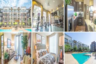 3825 Mapleshade Ln #66422 - Photo 1 of 1