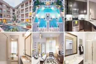 6003 Maple Ave #11051 - Photo 1 of 1