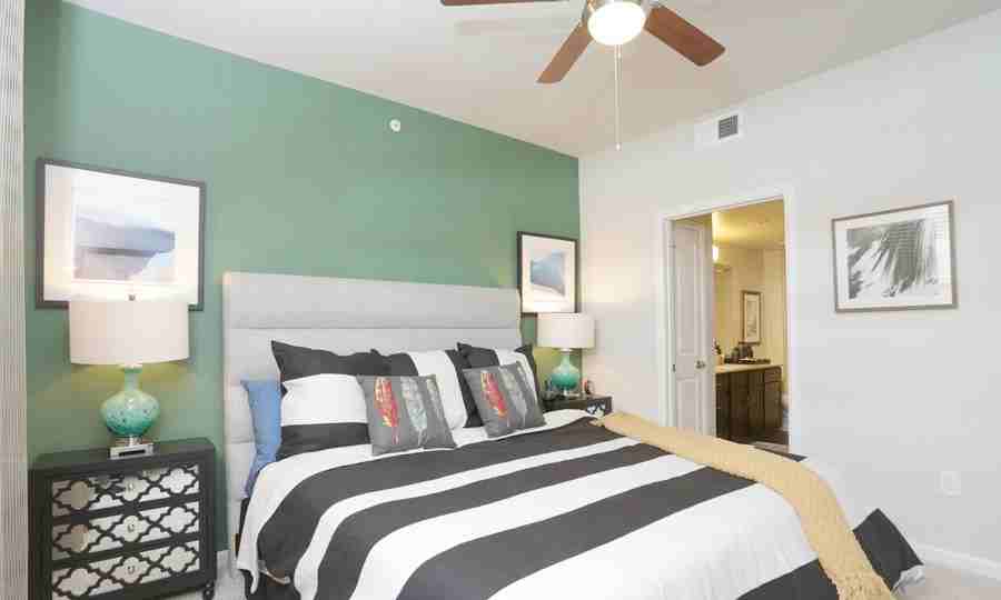 4800 Windhaven Pkwy #20739 - Photo 5 of 7