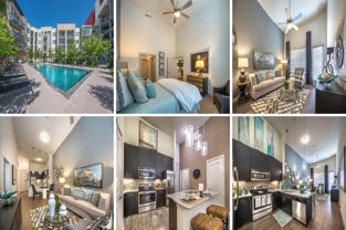 1010 Cadiz St #21374 - Photo 1 of 1