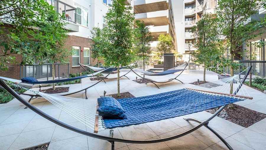 2103 N Hall St #21820 - Photo 4 of 11