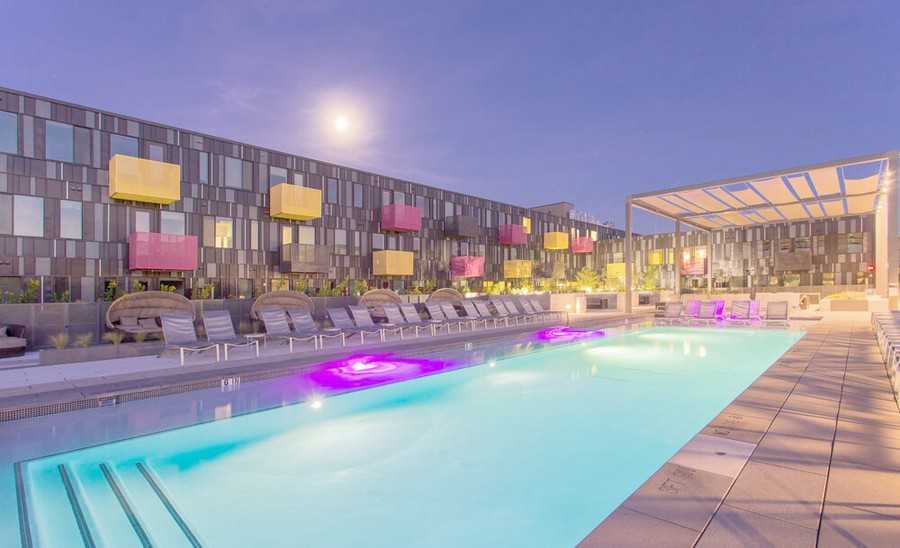 912 S Lamar Blvd #167939 - Photo 7 of 11