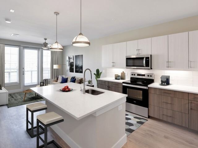 8350 Dallas Pkwy Ste 200 #2439 - Photo 6 of 11