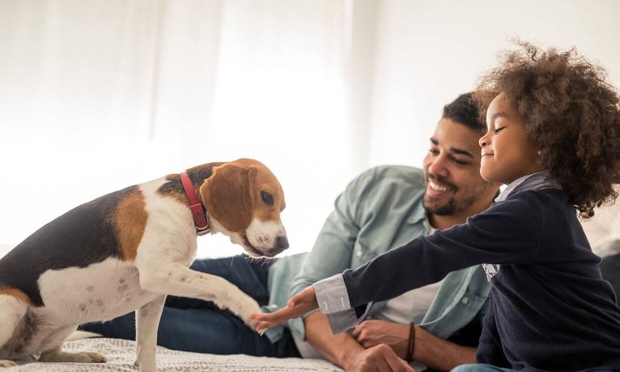 3876 Ponte Ave #585 - Photo 6 of 33