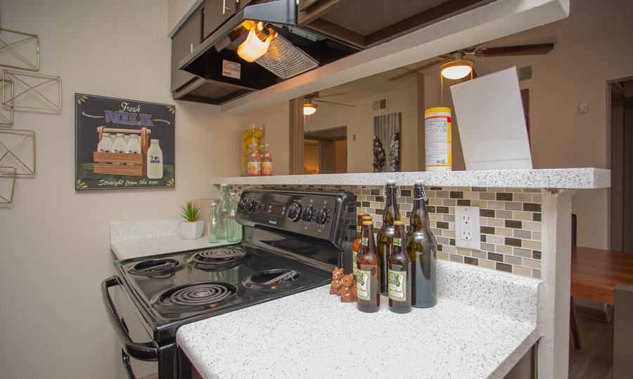 4933 Wild Holly Ln #1151 - Photo 4 of 50