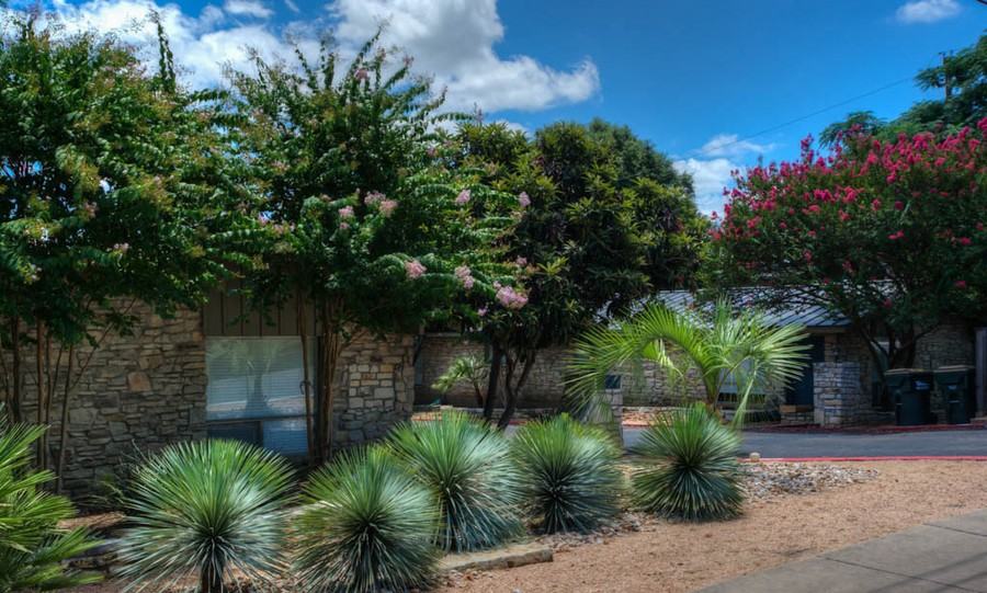 2027 Bluebonnet Ln #306 - Photo 3 of 6