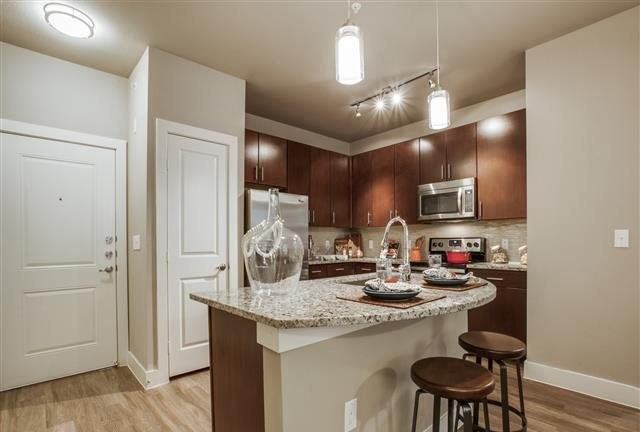 3306 Wells Branch Pkwy #460