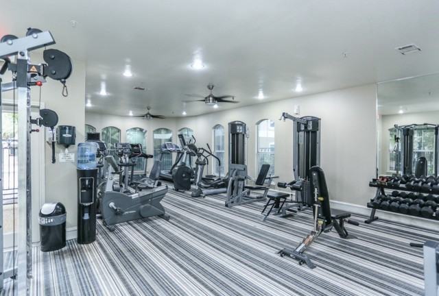 11506 Jollyville Rd #1536 - Photo 3 of 37