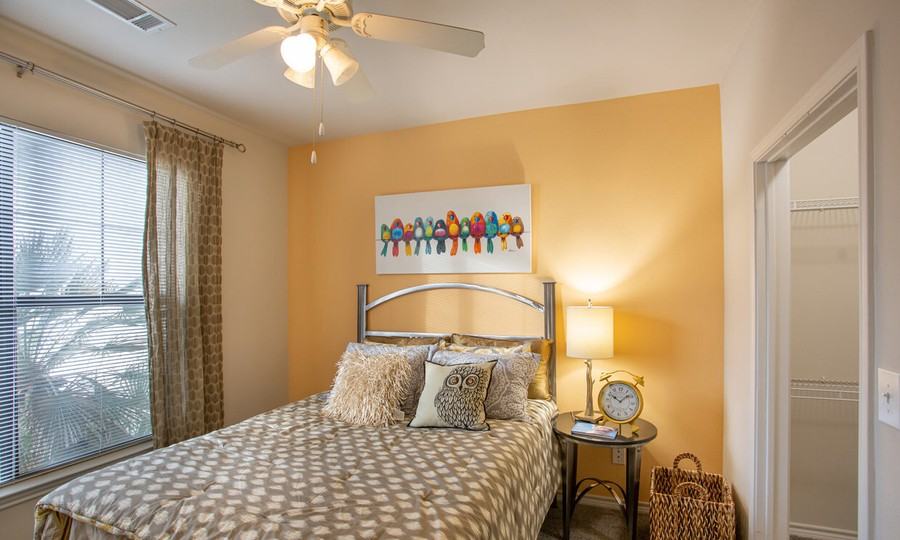 bldg 5, 12007 Dessau Rd #836 - Photo 6 of 50