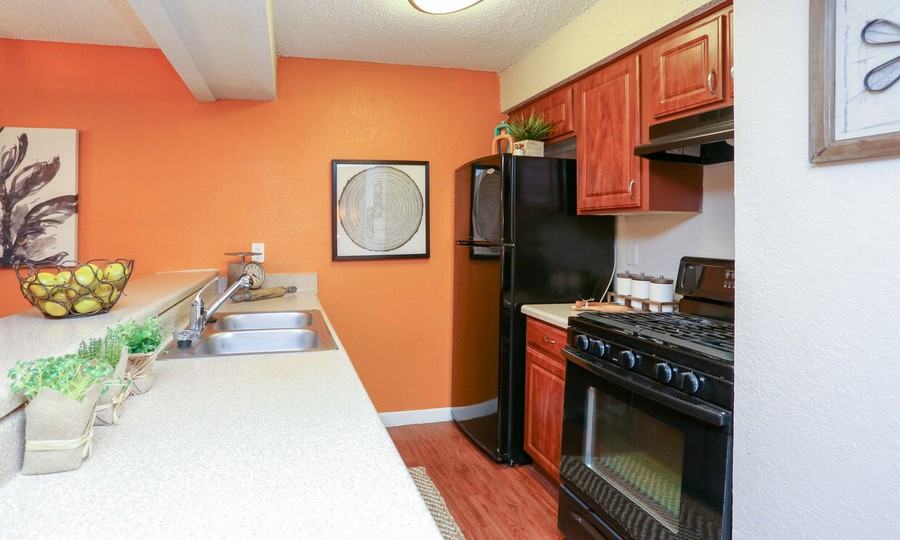 3622 Faro Dr #1440 - Photo 6 of 50