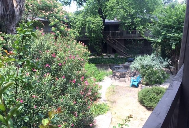 1407 Enfield Rd #1710 - Photo 4 of 15