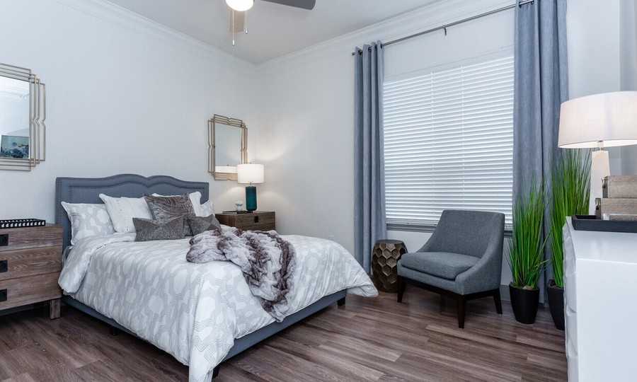 2616 Allen St #1004 - Photo 5 of 21