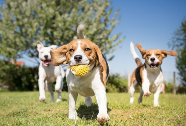 2431 Victory Ave #1194 - Photo 7 of 24