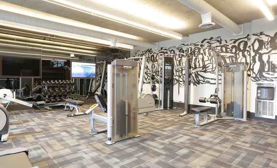 3137 Main St #4539 - Photo 7 of 50