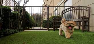 5328 Alpha Rd #3422 - Photo 1 of 1