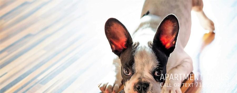 10005 Kempwood Dr #897