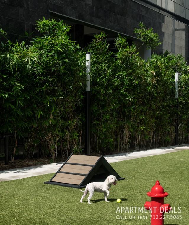 1786 S Post Oak Ln #1117 - Photo 6 of 22