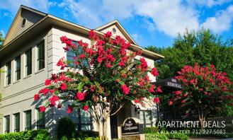 731 International Blvd #1912 - Photo 1 of 1