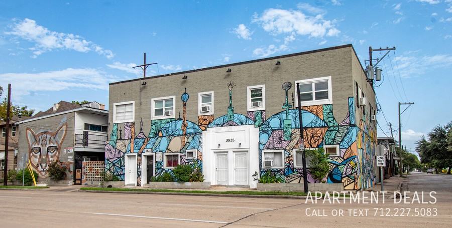 3823 Fannin St #4338