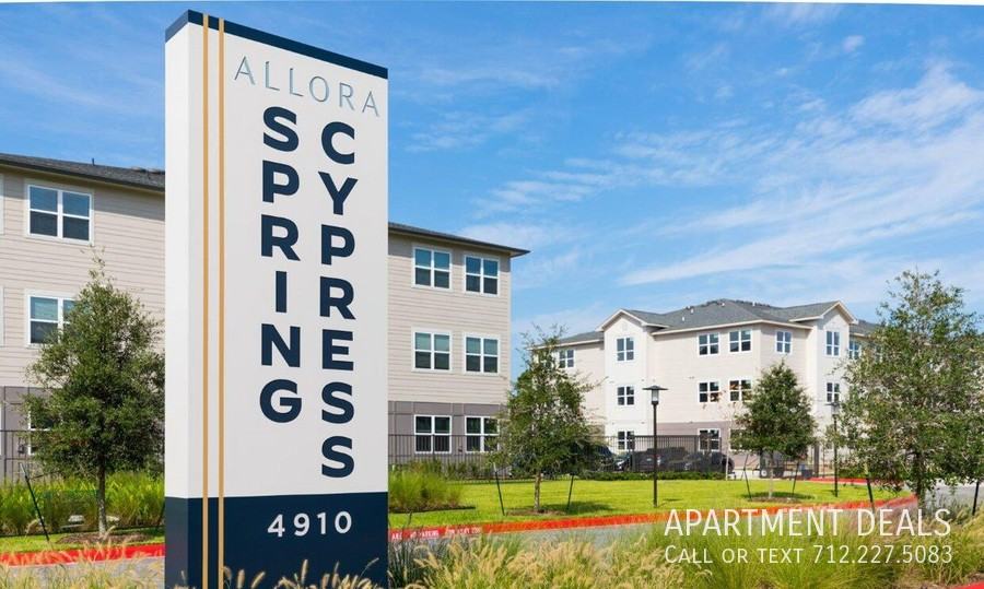 4916 Spring Cypress Rd #1225 - Photo 3 of 23