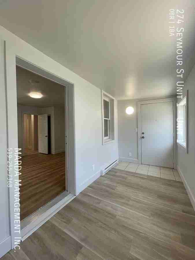 274 Seymour St Unit 1 #1 - Photo 5 of 17