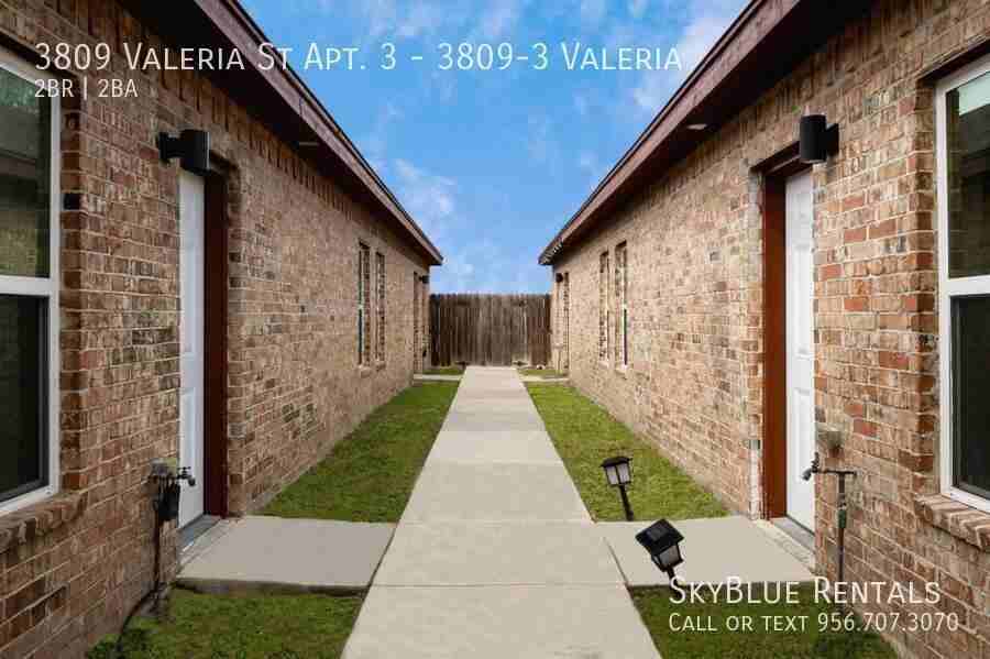 3809 Valeria St Apt 3 - Photo 2 of 10