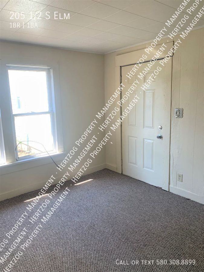 205 1/2 S Elm St - Photo 6 of 8