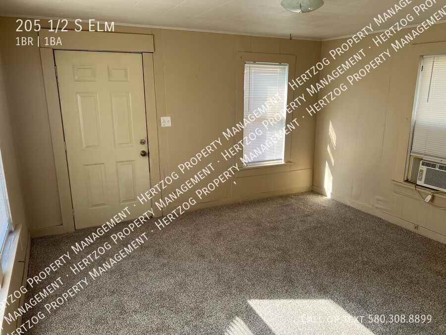 205 1/2 S Elm St - Photo 7 of 8