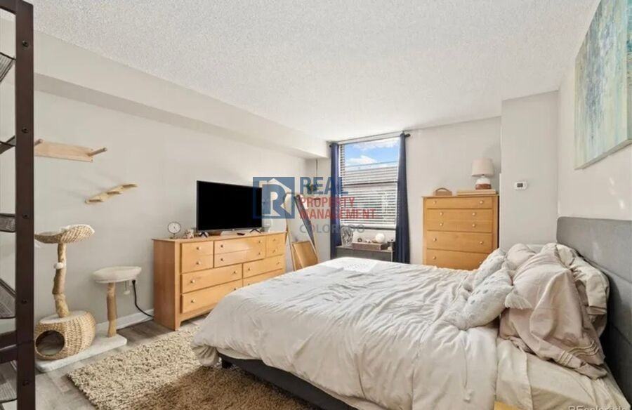 1301 Speer Blvd #202 - Photo 7 of 19