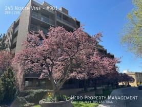 245 N Vine St #901 - Photo 1 of 1