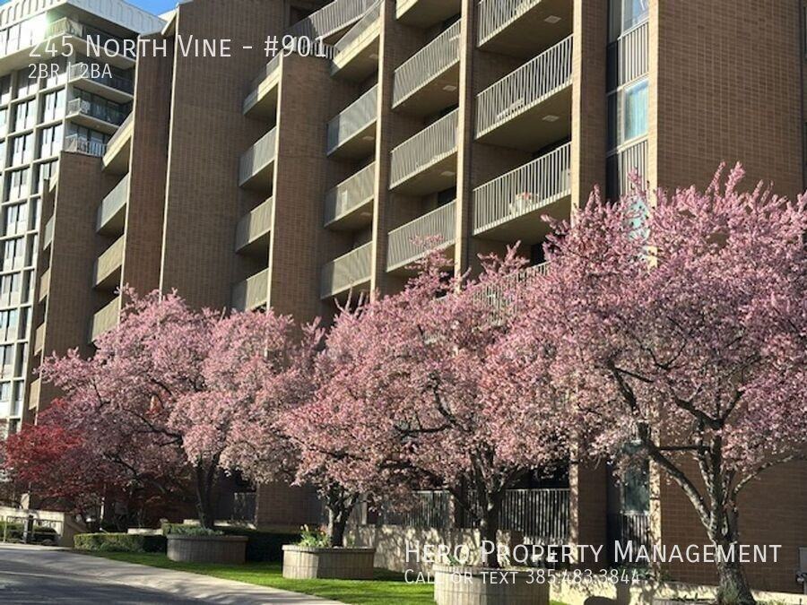 245 N Vine St #901 - Photo 2 of 50