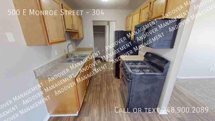500 E Monroe St #304 - Photo 2 of 19