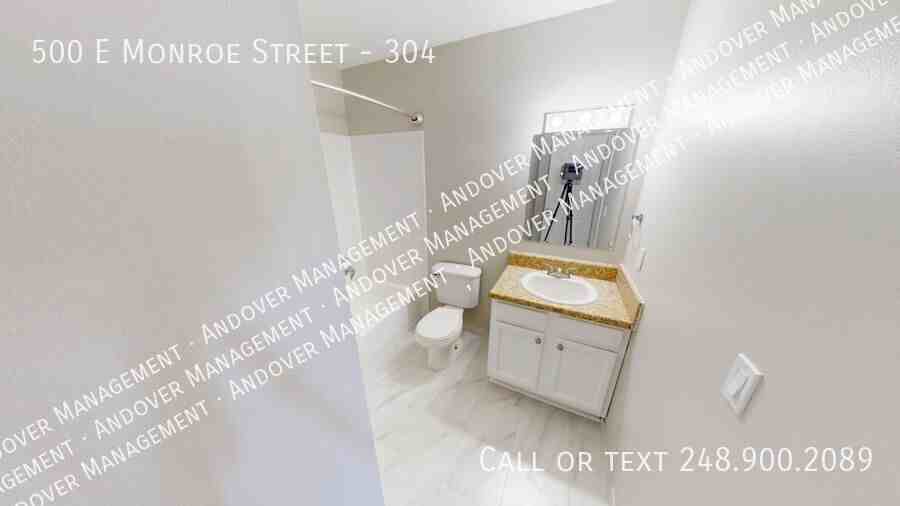 500 E Monroe St #304 - Photo 7 of 19